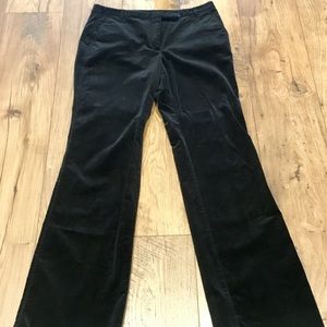 Ann Taylor Loft Suede Pants- NWOT
